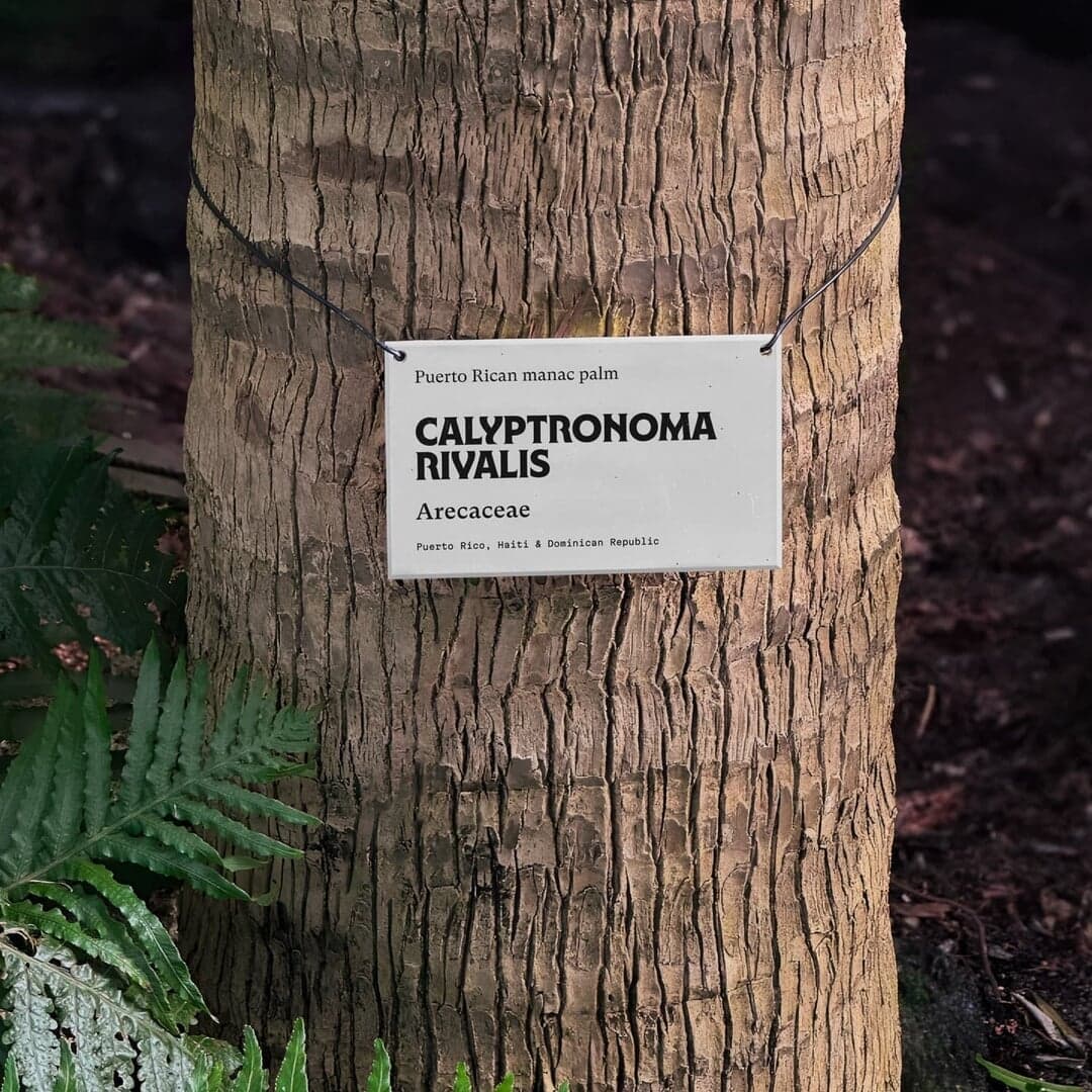 Visual Identity For The New York Botanical Garden