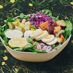 Reimagining Healthy Fast Food cover image