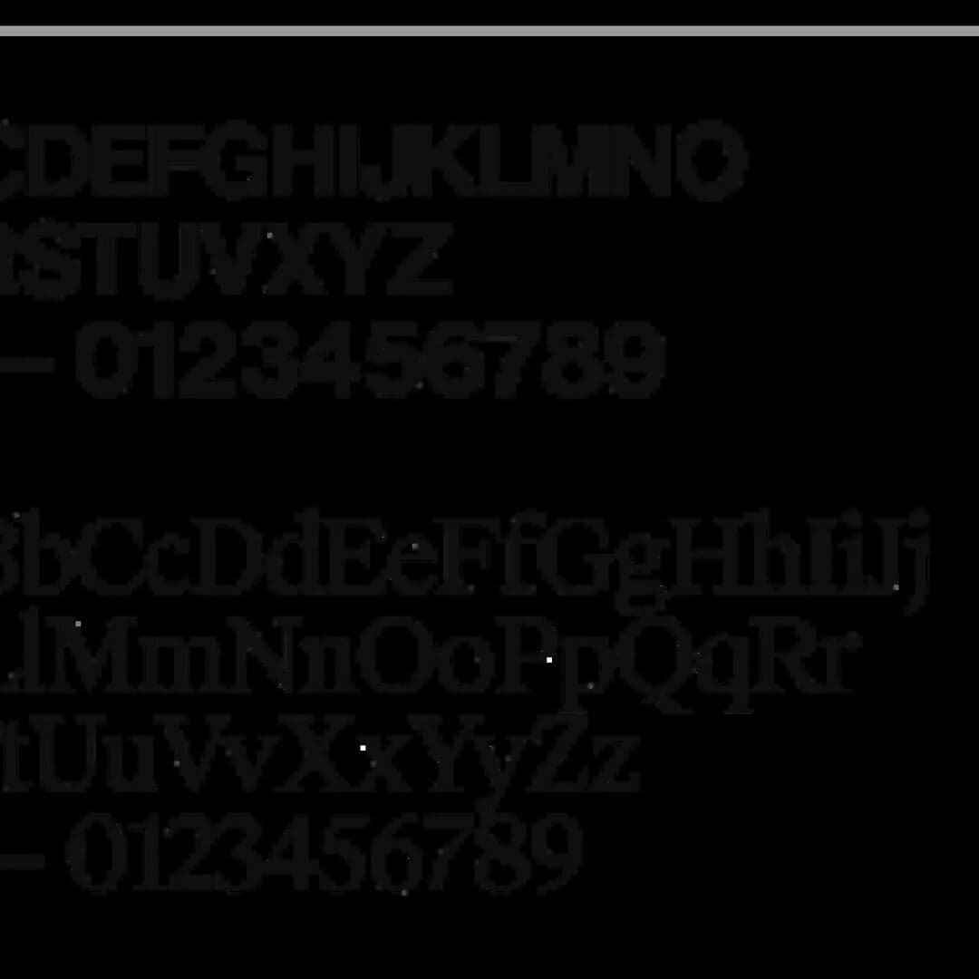 Brand Identity And Digital Experience For Modellus Novus