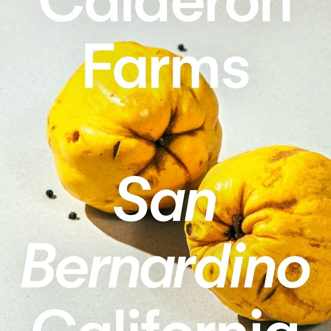 Rebrand And Design System For Pressed