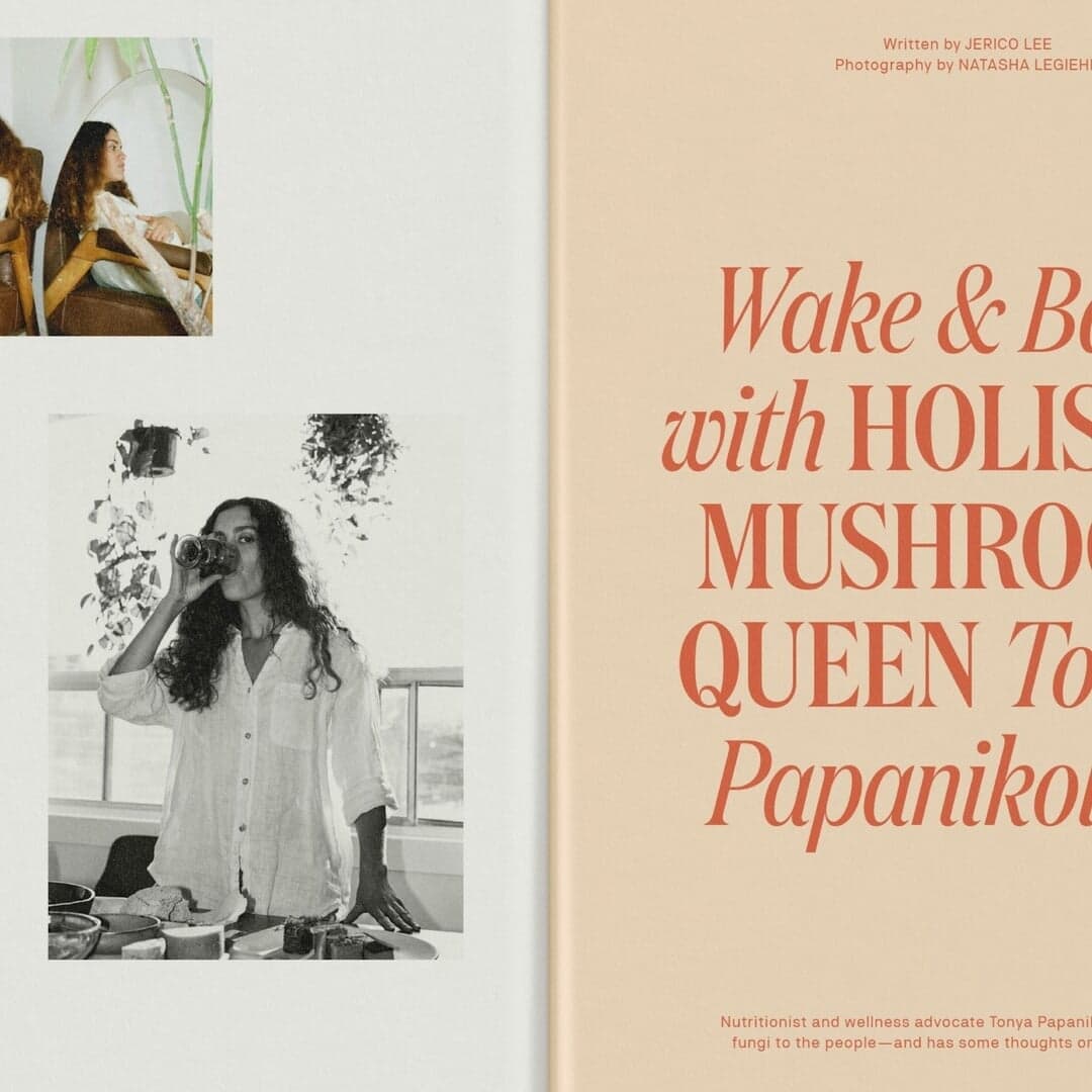 Brand Identity Redesign For Miss Grass