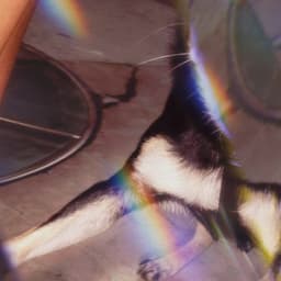 Digital Transformation For Mcdonald's cover image