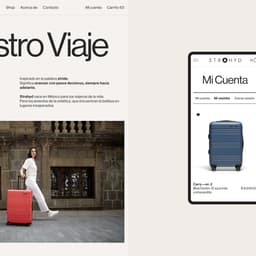 Website Development For A Stylish Luggage Brand cover image