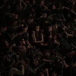 Branding For A Fiction Feature Film cover image