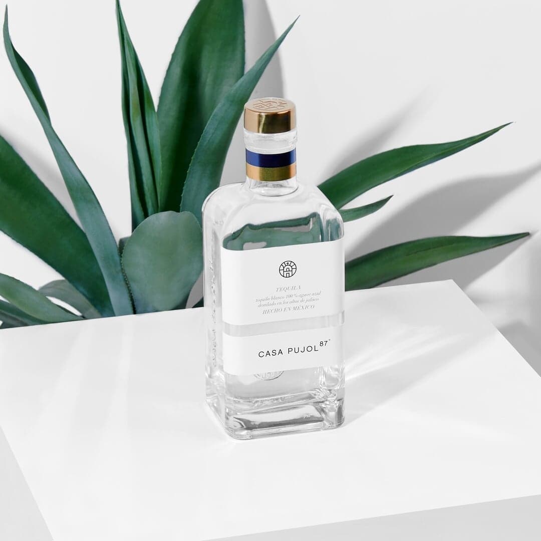 Brand Identity And Packaging For Tequila Casa Pujol 87