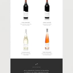 Branding Refresh For A Mexican Vineyard cover image