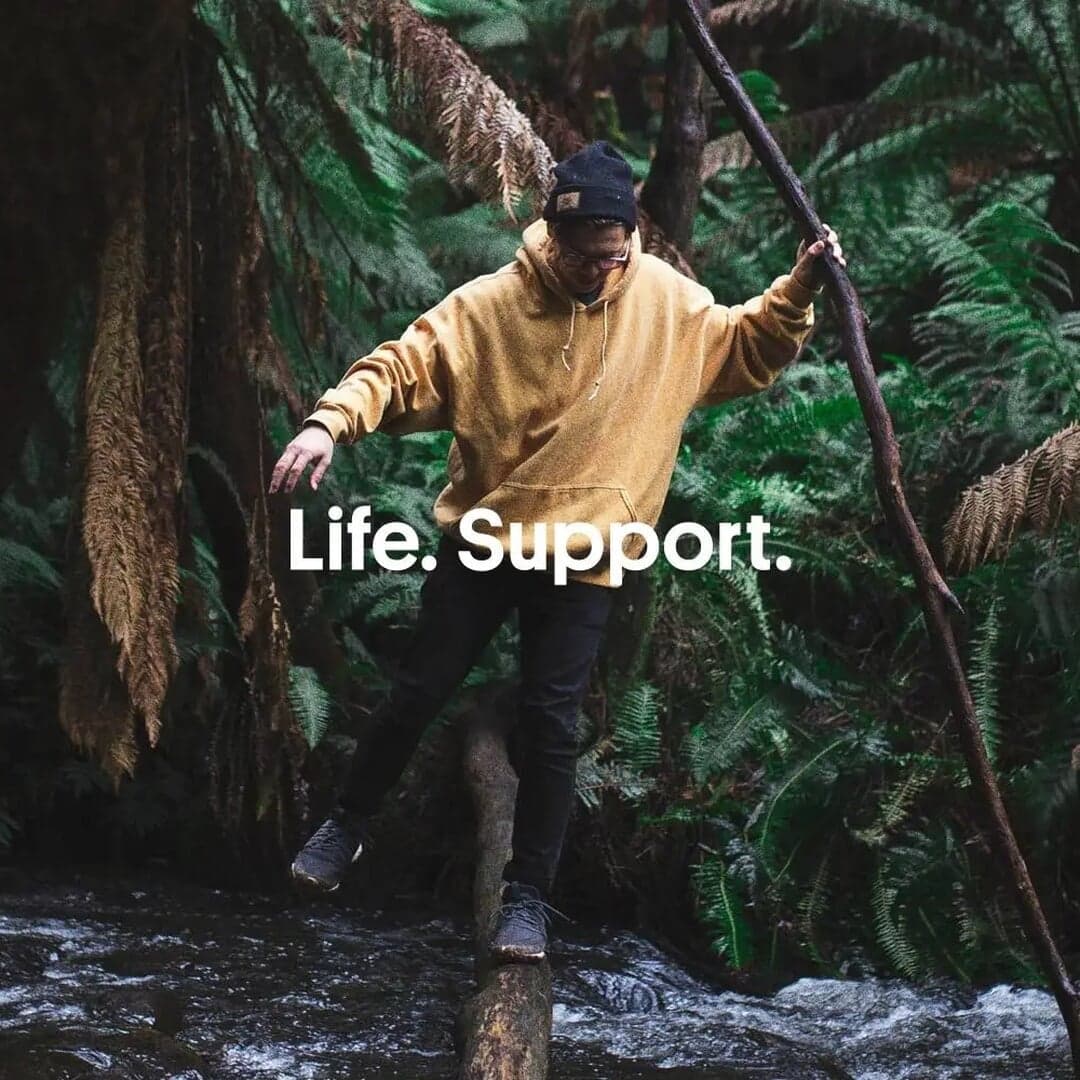 Brand Identity For The Wilderness Society