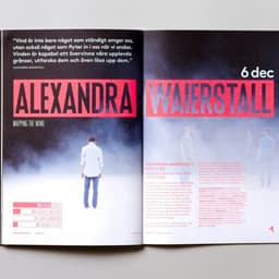Branding And Identity Design For Dans Festival cover image