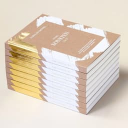 Book Design For Häng Konsten Lågt cover image