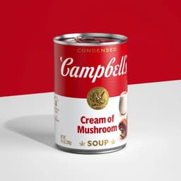 Brand Refresh For A Historic Bourbon Distillery cover image