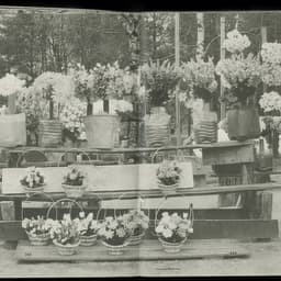 Artist's Book Design For A Contemporary Artist cover image