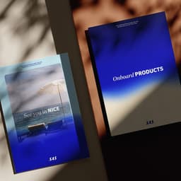 Brand Identity Creation For A Leading Airline In Scandinavia cover image