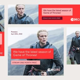 Visual Identity Development For A Leading Nordic Entertainment Provider cover image