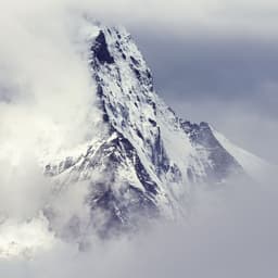 Brand Identity Redesign For A Swedish Outdoor Brand cover image