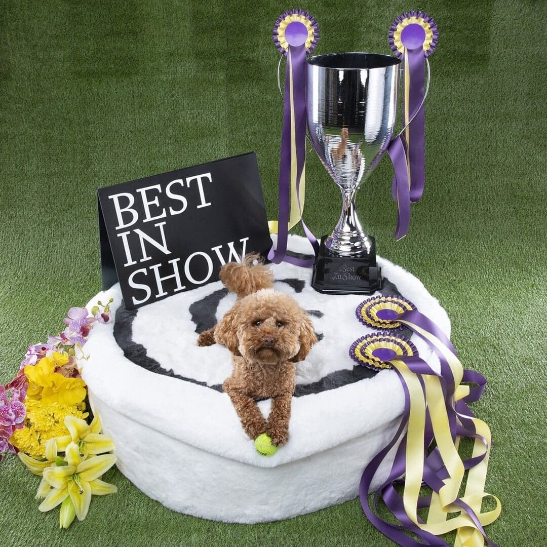 Typeface Design For Gramercy Serif Family