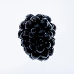 Augmented Reality Zine For A Retrospective Study Of Utopian Brutalism cover image