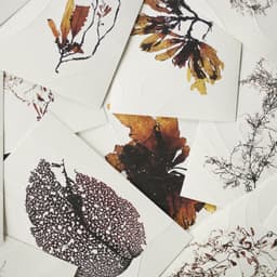 Brand Identity For A Contemporary Restaurant In Japan cover image