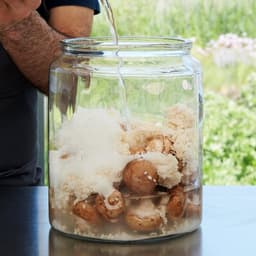 Packaging Design For A Culinary Project cover image