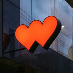 Bts - Husky Fox design work cover image