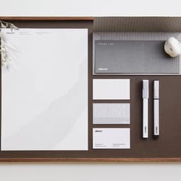 Aimed - Husky Fox design work cover image