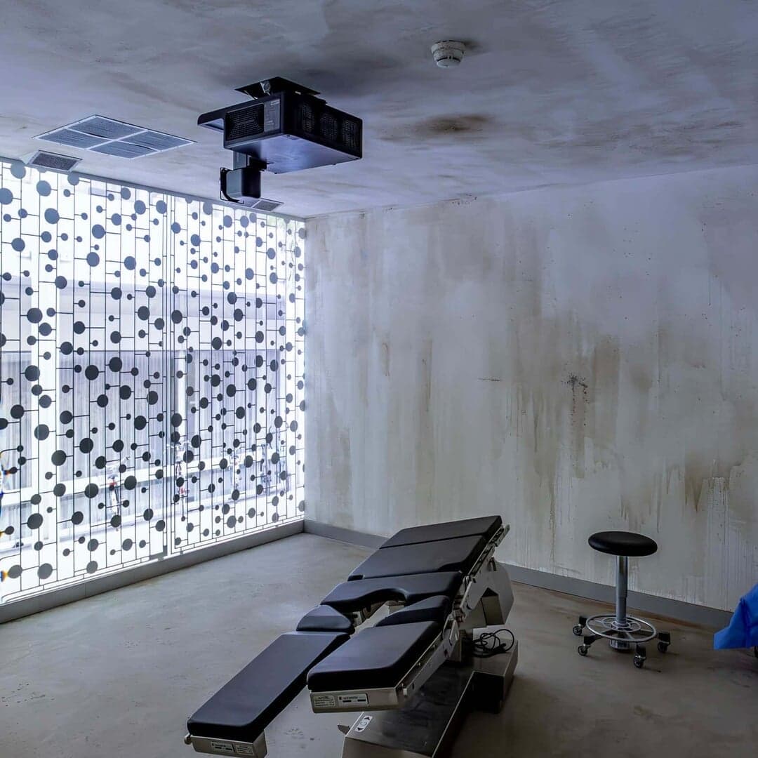 Virtual Exhibition Platform For Bid(s) For Survival