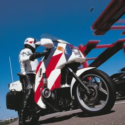 Identity And Vehicle Striping For A Unified National Police Force cover image