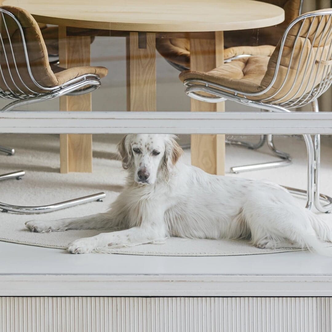 Interior Architecture For Imcollective Studio