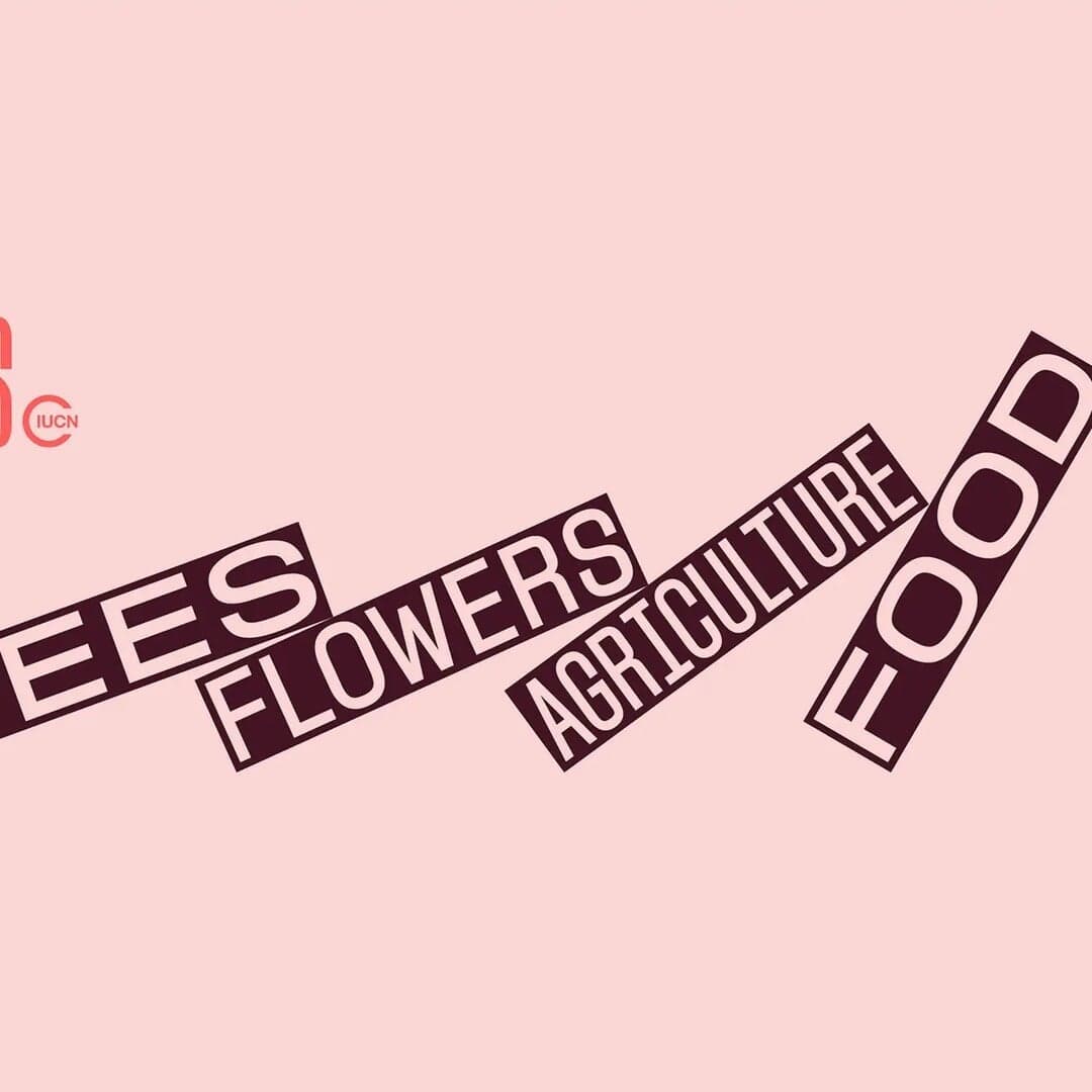 Brand Refresh For Iucn Save Our Species