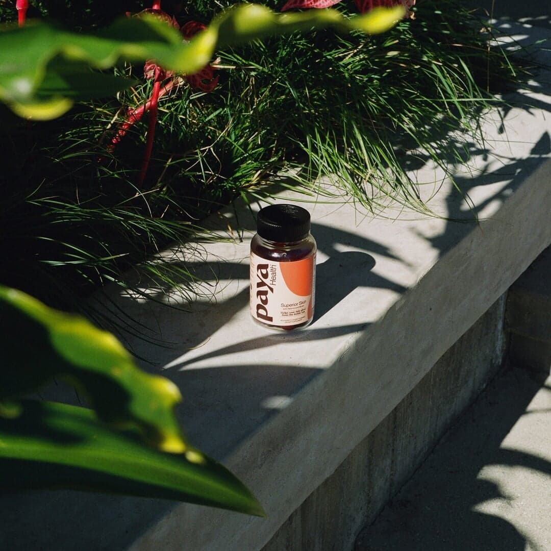 Visual Identity And E-commerce Website For Paya