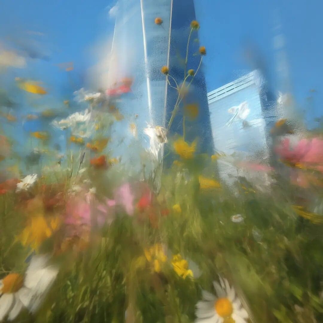 Brand Evolution For Thredup