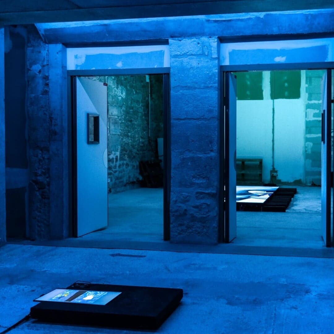 Speculative Digital Experience For Entropic States