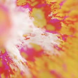 Visual Identity For Dekmantel 2020 cover image