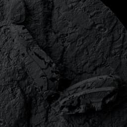 Speculative Digital Realities For Tomorrow Bureau cover image