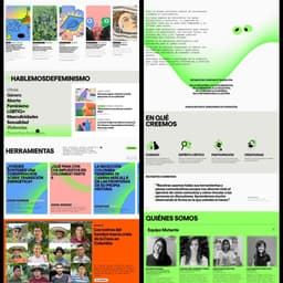 Digital Environment For An Organization Focused On Gender And Human Rights cover image