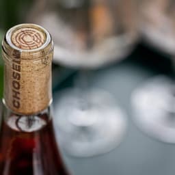 Chosen Family Wines - Studio Mega design work cover image