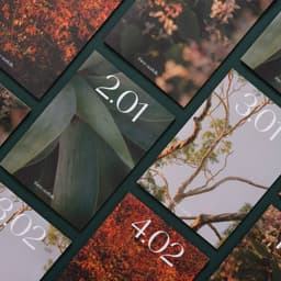 Brand Strategy And Identity Design For An Eco-friendly Packaging Company cover image