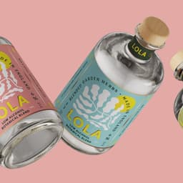 Brand Identity & Packaging Concept For A Low Alcohol Botanical Blend. cover image