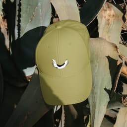 Creating A Brand Identity For An East London Dog Walker cover image