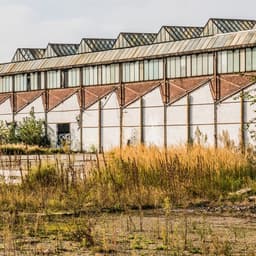 Amvest - Phoney Club design work cover image