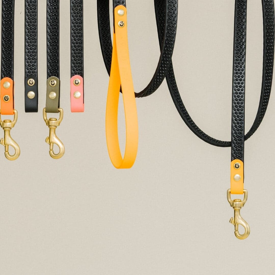 Brand Identity For Gula Dog Care