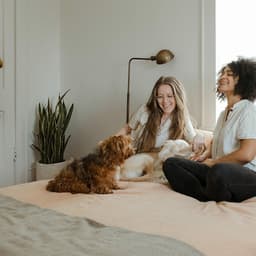 App Design And Branding For A Pet Health App cover image