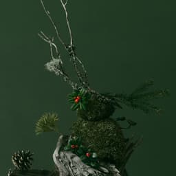 Visual Identity And Packaging For A Premium Beauty Brand cover image