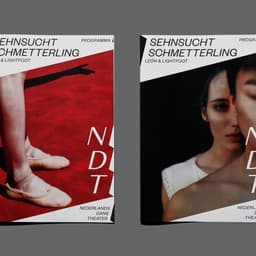 Visual Identity For A Dutch Dance Theater cover image