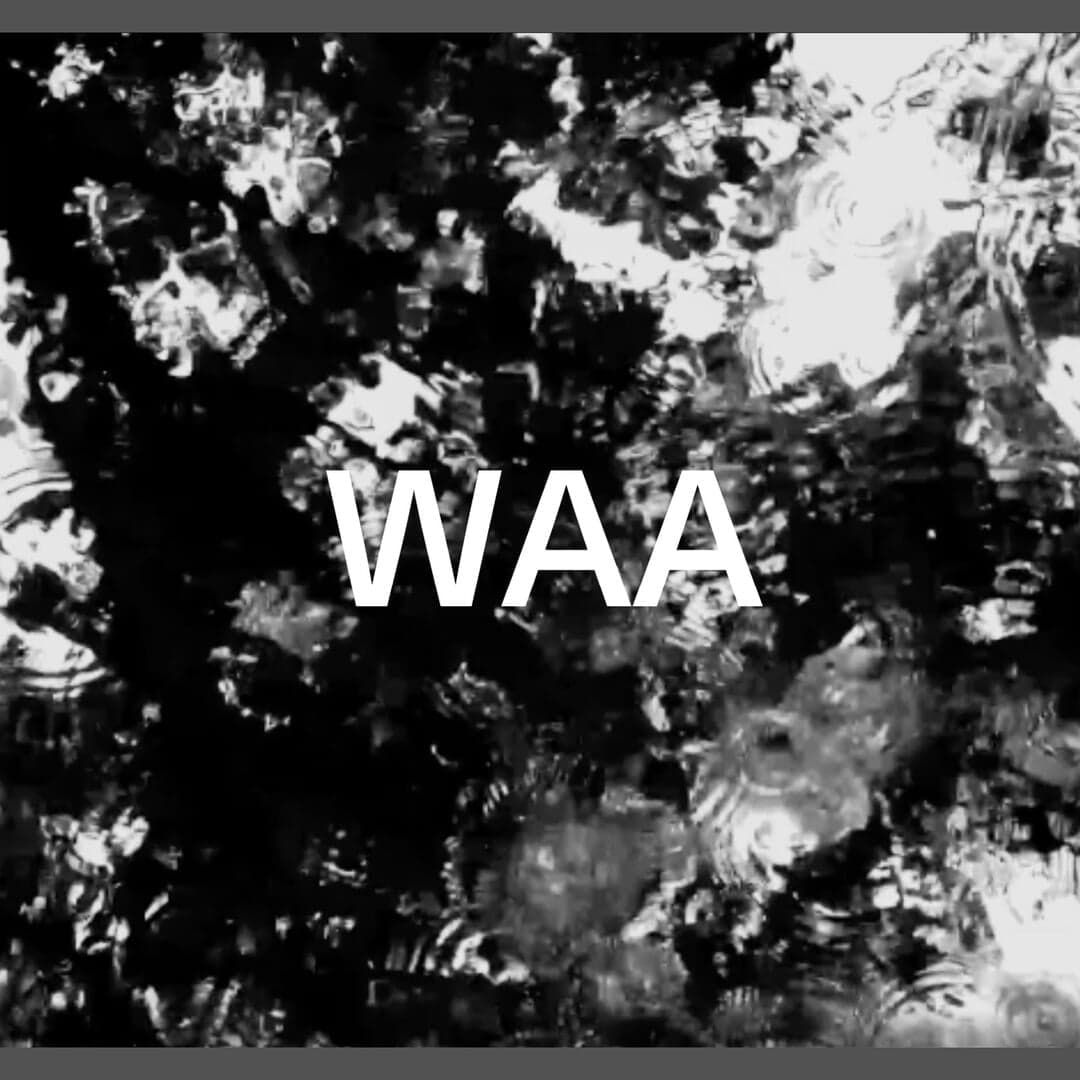 Website Design For Wiel Arets Architects