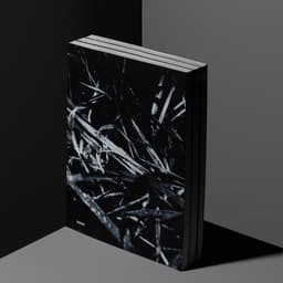 An Autonomous Book For A Dutch Fashion Photographer cover image