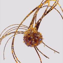 Art Direction And Design For A Contemporary Music Season cover image