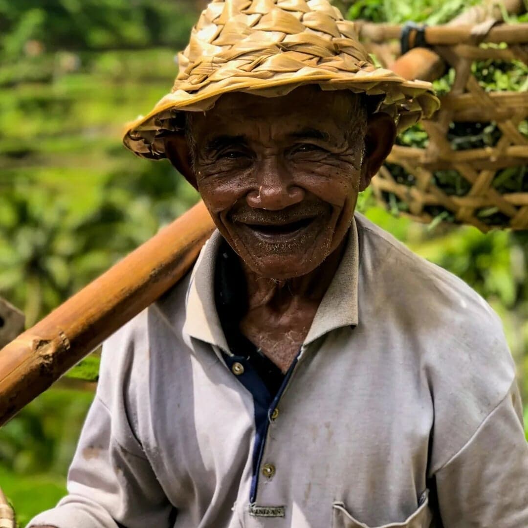 Brand Identity For Mergdata