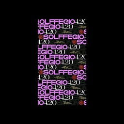 Branding And Motion Design For A Music Event Series cover image