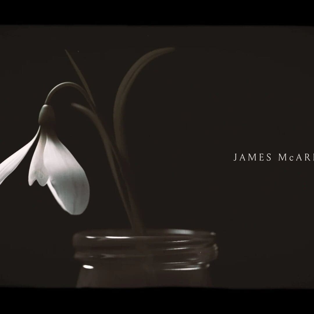 Title Sequence Design For Bbc Two's Life After Life