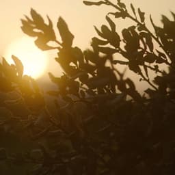 Brand Identity For A Mythical Vineyard Estate cover image